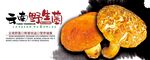 野生菌
