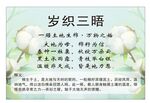 歲織三晤文化紡織 海報標(biāo)語宣傳