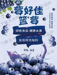 藍(lán)莓海報