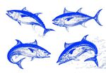 矢量金槍魚線描剪影