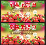 草莓