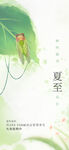 夏日綠意中的可愛小生靈