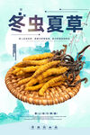 冬蟲(chóng)夏草