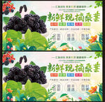 桑葚