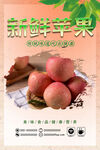 新鮮蘋果促銷海報(bào)