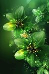 夢幻綠花背景圖
