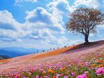 花海孤樹 夢幻自然風光