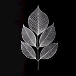 白色葉脈圖案 簡約葉片設(shè)計(jì)