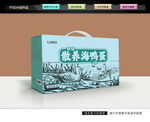 海鴨蛋禮盒 咸蛋包裝