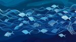 海洋中游動(dòng)的群魚(yú)景象