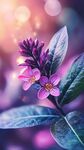 夢(mèng)幻紫花綻放于光影間