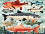 多彩海洋魚類插畫展示