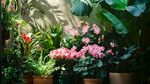 室內(nèi)繽紛綠植花卉景觀