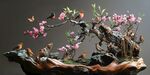 春日花鳥(niǎo)盆景藝術(shù)佳作