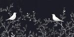 雙鳥(niǎo)棲枝黑白簡(jiǎn)約插畫(huà)