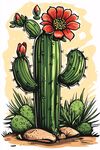 開花的仙人掌插畫