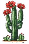 開花的高大仙人掌插畫