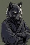 狼面忍者武士