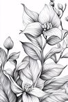 黑白花卉線描插畫