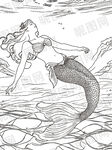 手繪美人魚(yú)在水中暢游線稿