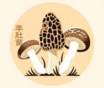 羊肚菌插畫(huà)圖