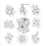 百合花卉線稿圖案設(shè)計(jì)素材
