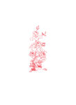 酒插畫(huà) 荷花