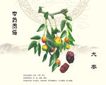 大棗植株中藥大棗