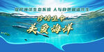 關(guān)愛海洋