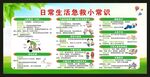 世界急救日宣傳欄