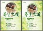 養(yǎng)生之道海報