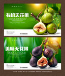 無花果海報(bào)