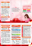2025年世界母乳喂養(yǎng)周三折頁