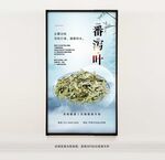 番瀉葉
