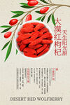 大漠紅枸杞活動(dòng)宣傳海報(bào)