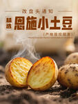 恩施土豆上市
