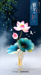 荷花節(jié)氣