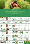營養(yǎng)美食美味板栗種植宣傳PPT