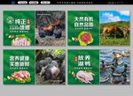 家禽生鮮