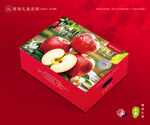 蘋果包裝 紅富士禮盒