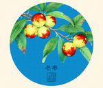 冬棗