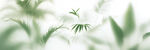霧氣磨砂膜效果綠植貼圖