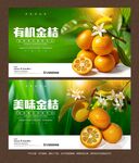 金桔海報