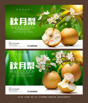 秋月梨海報