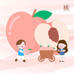 兒童看圖識(shí)物卡片水蜜桃教育插畫(huà)