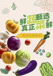 蔬菜海報(bào)