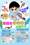 隱翅蟲叮咬后處理方法