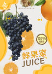 水果海報(bào)