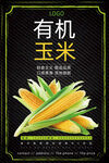 玉米
