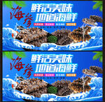 海參